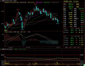 黑色系晚間高空為主,商品期貨多數震蕩偏強